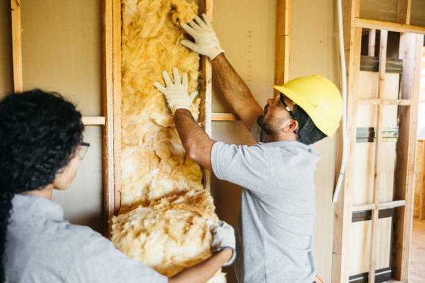 Best Insulation Repair Services  in New Concord, OH